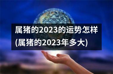 属猪的2025的运势怎样(属猪的2025年多大)