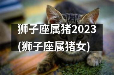 狮子座属猪2025(狮子座属猪女)