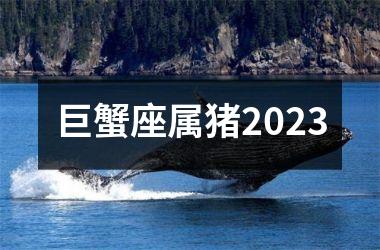 巨蟹座属猪2025