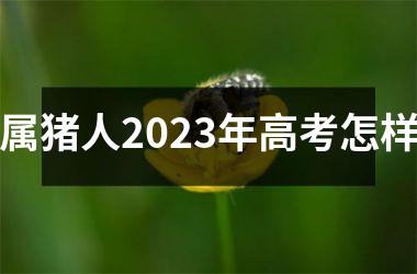 属猪人2025年高考怎样