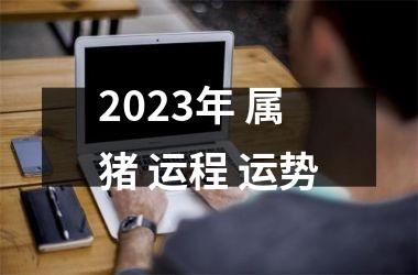 2025年 属猪 运程 运势