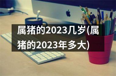 属猪的2025几岁(属猪的2025年多大)