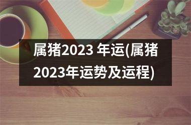 属猪2025 年运(属猪2025年运势及运程)