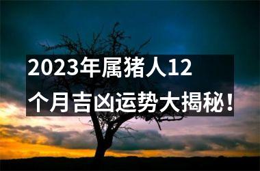 2025年属猪人12个月吉凶运势大揭秘！