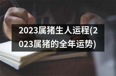 2025属猪生人运程(2025属猪的全年运势)