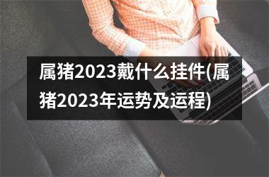 属猪2025戴什么挂件(属猪2025年运势及运程)