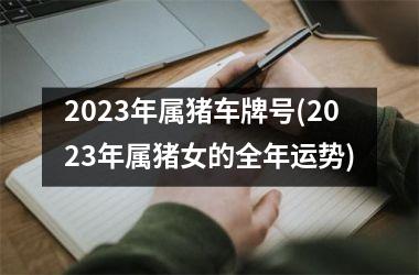 2025年属猪车牌号(2025年属猪女的全年运势)