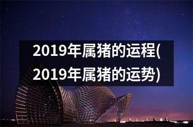 2019年属猪的运程(2019年属猪的运势)