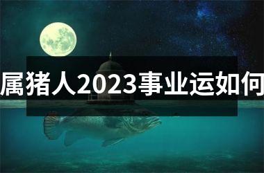 属猪人2025事业运如何