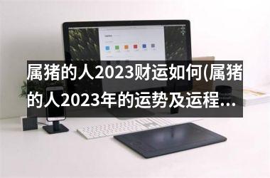 属猪的人2025财运如何(属猪的人2025年的运势及运程详解)