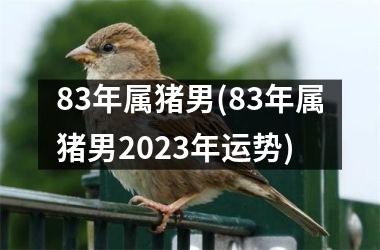 <h3>83年属猪男(83年属猪男2025年运势)