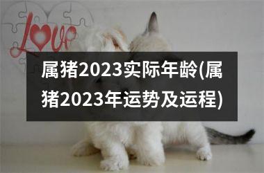 <h3>属猪2023实际年龄(属猪2023年运势及运程)