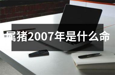 属猪2007年是什么命