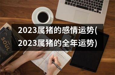 2025属猪的感情运势(2025属猪的全年运势)