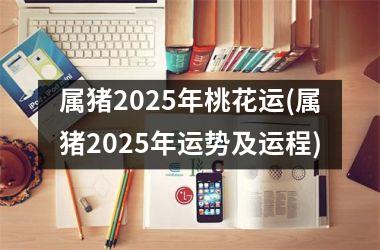 属猪2025年桃花运(属猪2025年运势及运程)