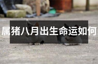 属猪八月出生命运如何