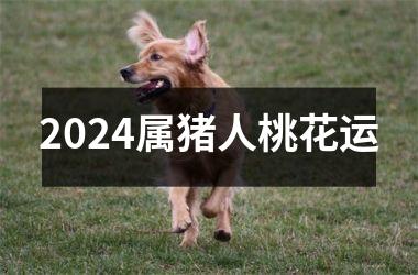 2024属猪人桃花运