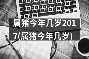 属猪今年几岁2017(属猪今年几岁)