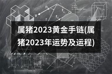 属猪2025黄金手链(属猪2025年运势及运程)