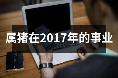 属猪在2017年的事业