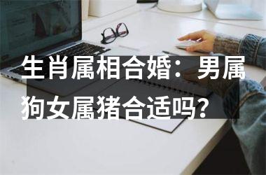 生肖属相合婚：男属狗女属猪合适吗？