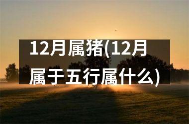 12月属猪(12月属于五行属什么)