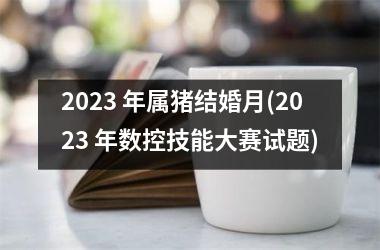 2025 年属猪结婚月(2025 年数控技能大赛试题)