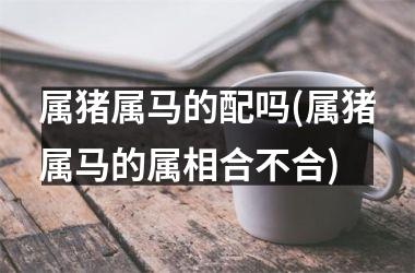 属猪属马的配吗(属猪属马的属相合不合)