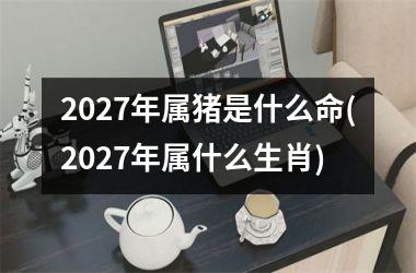 2027年属猪是什么命(2027年属什么生肖)