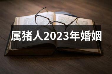 属猪人2025年婚姻