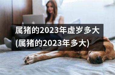 属猪的2025年虚岁多大(属猪的2025年多大)