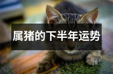 属猪的下半年运势