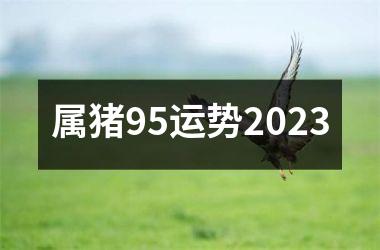 属猪95运势2025