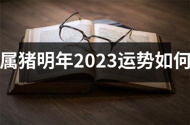 属猪明年2025运势如何