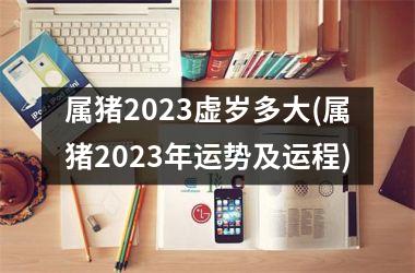 属猪2025虚岁多大(属猪2025年运势及运程)