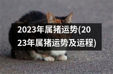 2025年属猪运势(2025年属猪运势及运程)