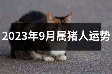 2025年9月属猪人运势