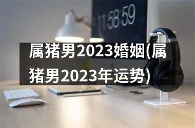 <h3>属猪男2025婚姻(属猪男2025年运势)