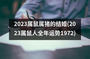 2025属鼠属猪的结婚(2025属鼠人全年运势1972)