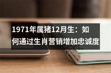 1971年属猪12月生：如何通过生肖营销增加忠诚度