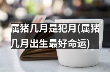 属猪几月是犯月(属猪几月出生好命运)