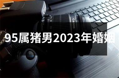 <h3>95属猪男2025年婚姻