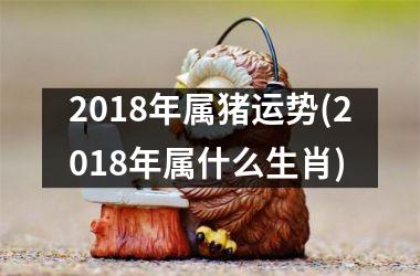 2018年属猪运势(2018年属什么生肖)