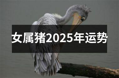 女属猪2025年运势