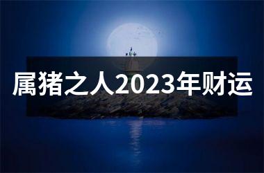 属猪之人2025年财运