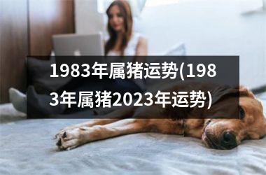 1983年属猪运势(1983年属猪2025年运势)