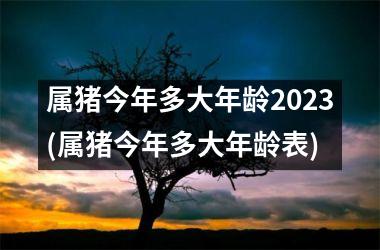 属猪今年多大年龄2025(属猪今年多大年龄表)