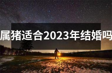 属猪适合2025年结婚吗