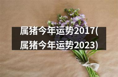 <h3>属猪今年运势2017(属猪今年运势2025)