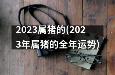 2025属猪的(2025年属猪的全年运势)